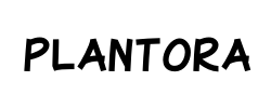 Plantora - logo